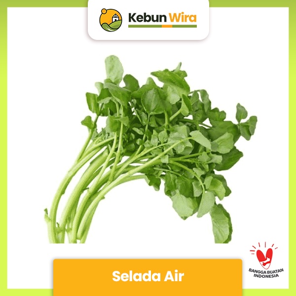 

Selada Air | Watercress