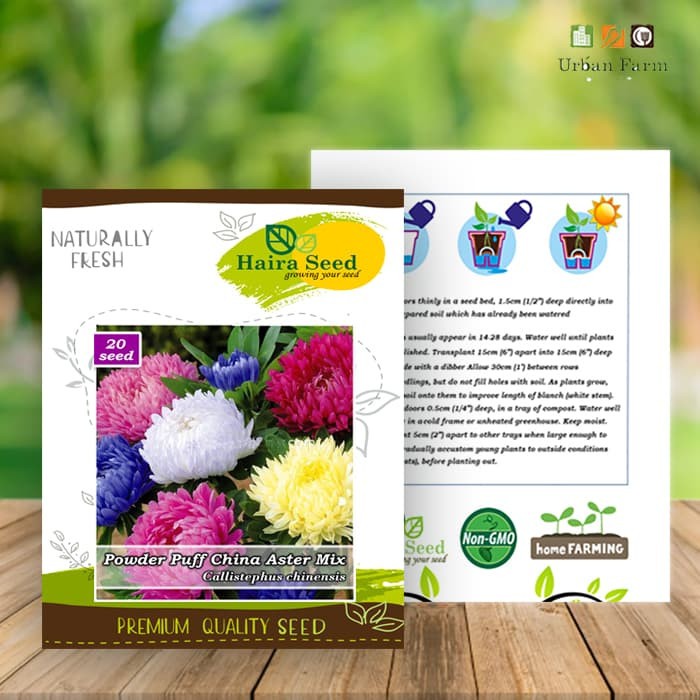 Benih Bunga Powder Puff China Aster Mix - Haira Seed