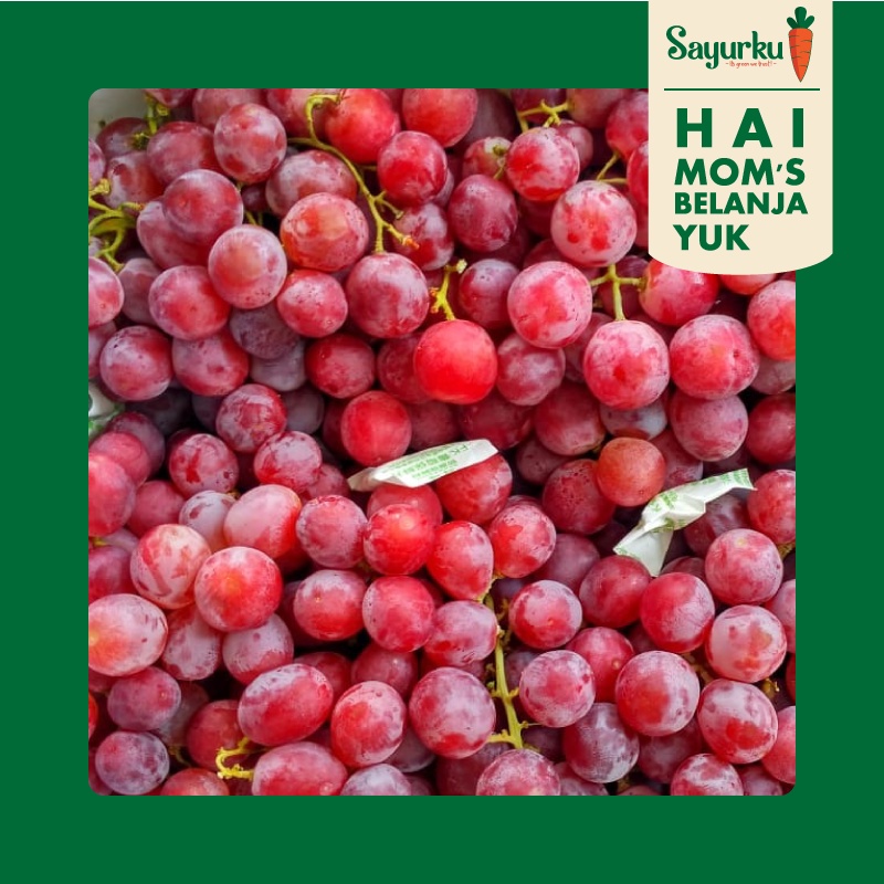 

Anggur Merah Usa 500gr