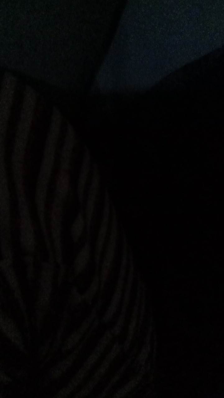 Bswart Batik Hrb026 Kenongo Hem Pendek Padi Pekalongan M L Xl Batik Pria Murah Modern Grosir