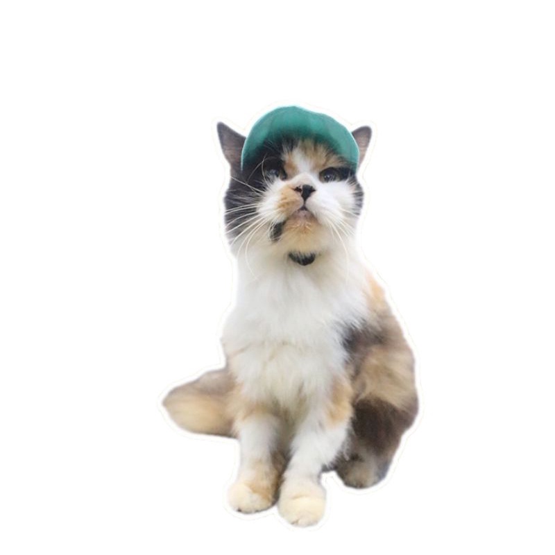 topi kucing topi gaya untuk kucing