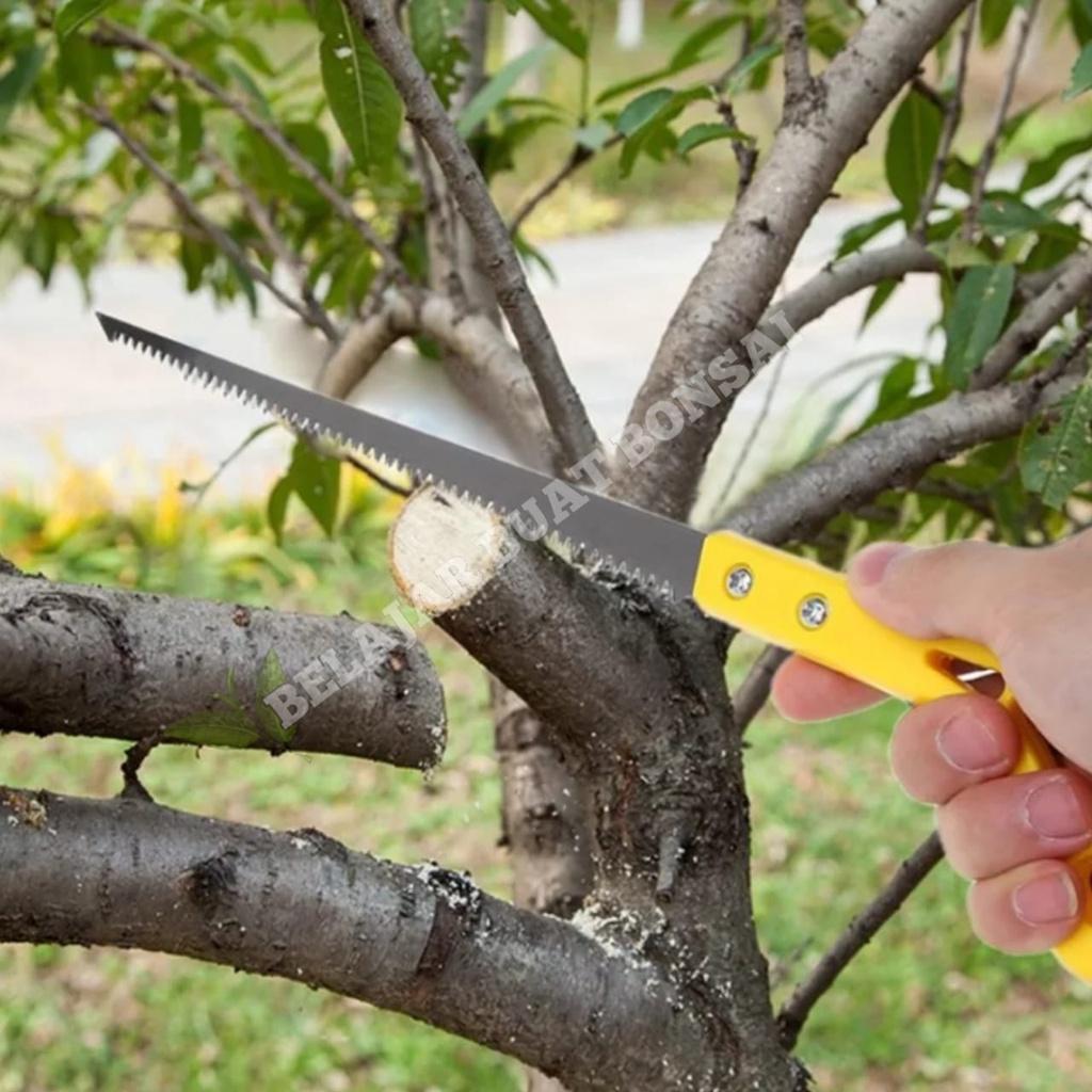 GERGAJI DÀHAN GAGANG KUNING