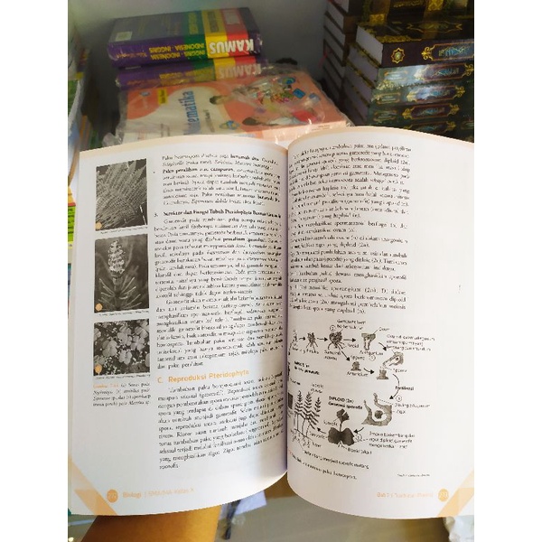 BUKU BIOLOGI SMA KELAS X 10 IRNANINGTYAS PEMINATAN ERLANGGA-2