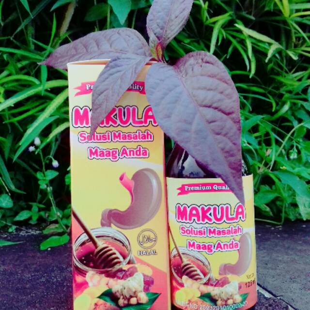 

Promo beli 2 gratis 1 Makula kunyit lambung