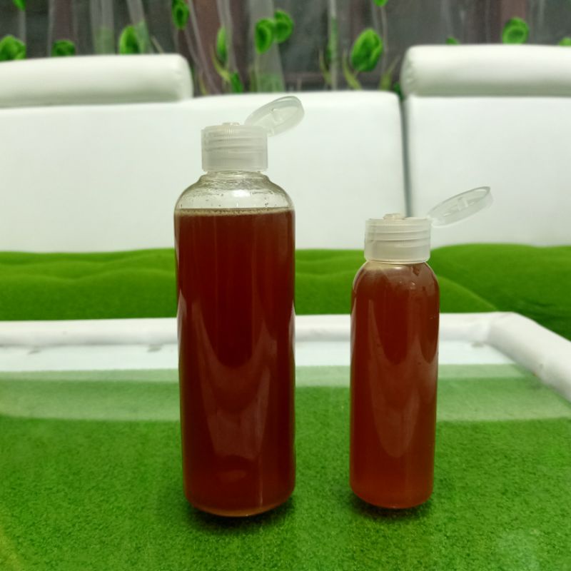 

Madu Hutan Asli 100% Apis Dorsata