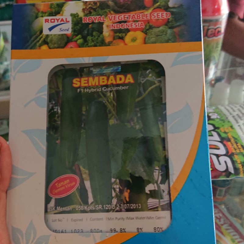 BENIH BIBIT MENTIMUN F1 ANTI VIRUS SEMBADA ROYAL SEED