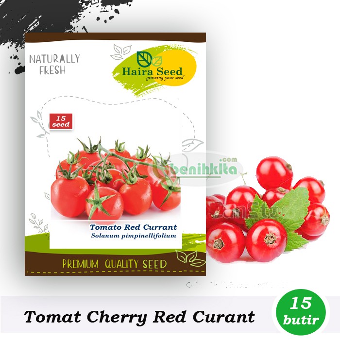 Benih-Bibit Tomat Cherry Red Currant (Haira Seed)