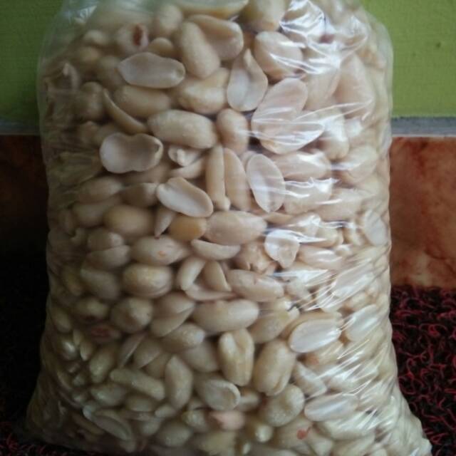

Kacang klici mentah