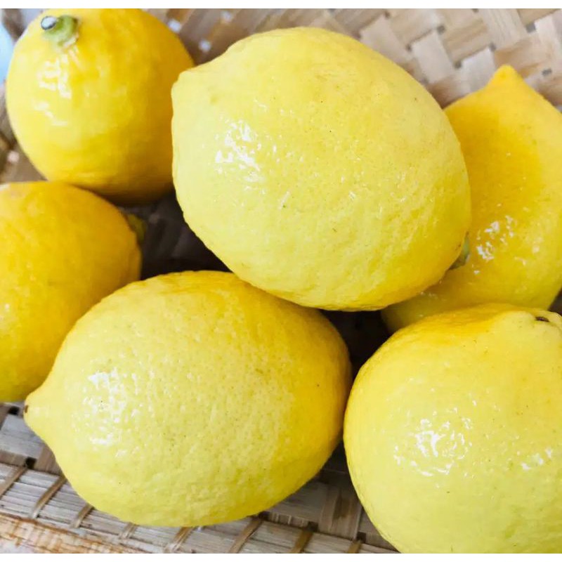 

LEMON LOKAL / LEMON CALIFORNIA 1kg 100% dijamin ORIGINAL