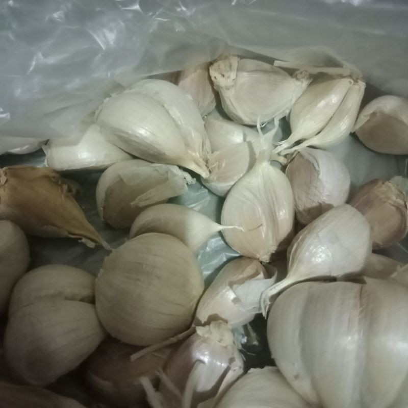 

bawangputihkatingsuper1kg