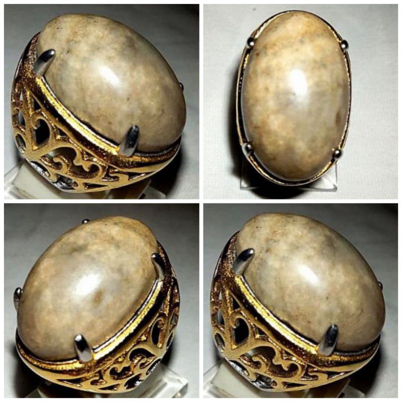 batu akik fosil kayu aren (198)