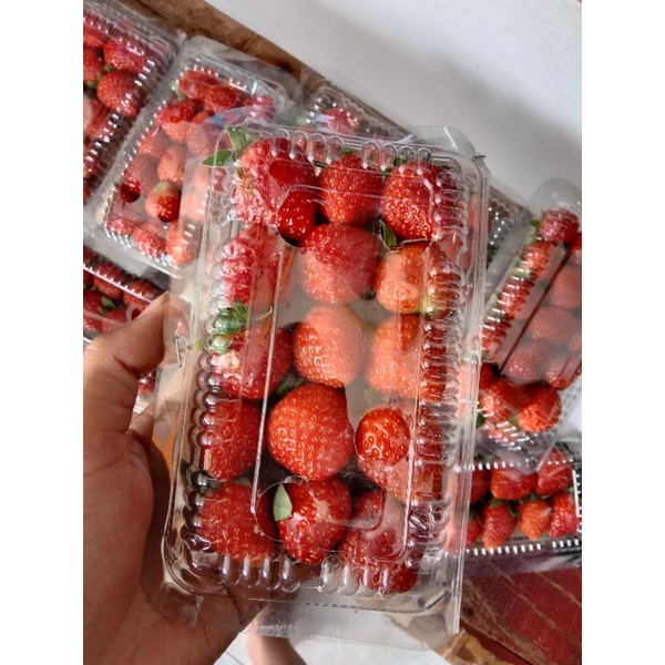 

STRAWBERRY SEGAR BUAH FRESH 135GR