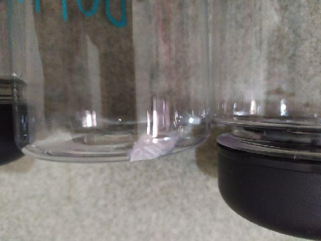 Promo [1kg 12pcs] My Bottle Transparan Bening Dengan Sarung Anti Pecah