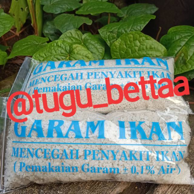 

Promo Garam Ikan 500 gr MURAH