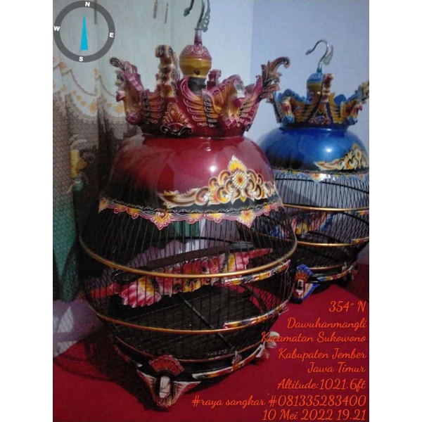 sangkar puter pelung