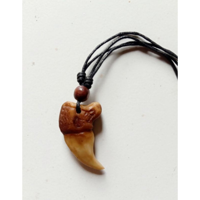 FAVORIT KALUNG KUKU HARIMAU MACAN 2025