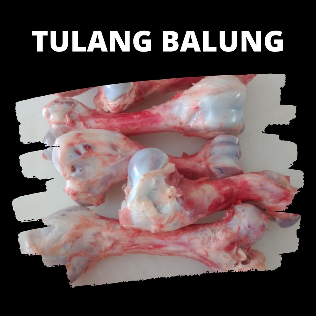 

Tulang Balung Babi