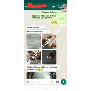 AMPUH Obat Minyak Kutu Hewan Kucing Dan Anjing - Pembasmi Kutu SampaiTelurnya Cap Tiga Jempol 40 ML Bonus Serit freeongkir COD