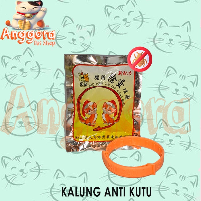 Kalung anti kutu