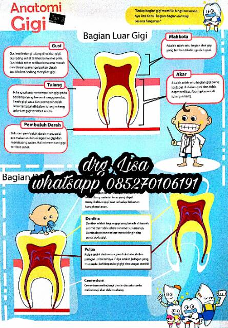 20+ Koleski Terbaru Poster Edukasi Kesehatan Gigi