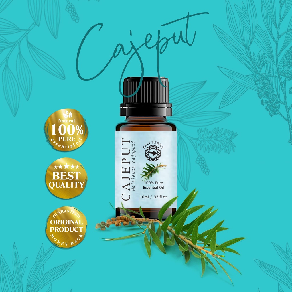 Cajeput Essential Oil | Minyak Kayu Putih | 100% Essential Oil | Bali Terra | Aromatherapy | Aromath