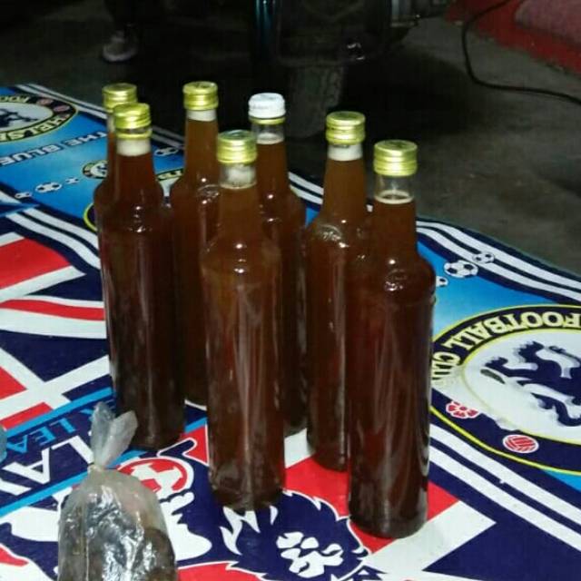 

Madu lebah trigona murni 100%