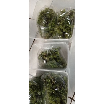 

sea grapes latoh anggur laut ukuran 250g