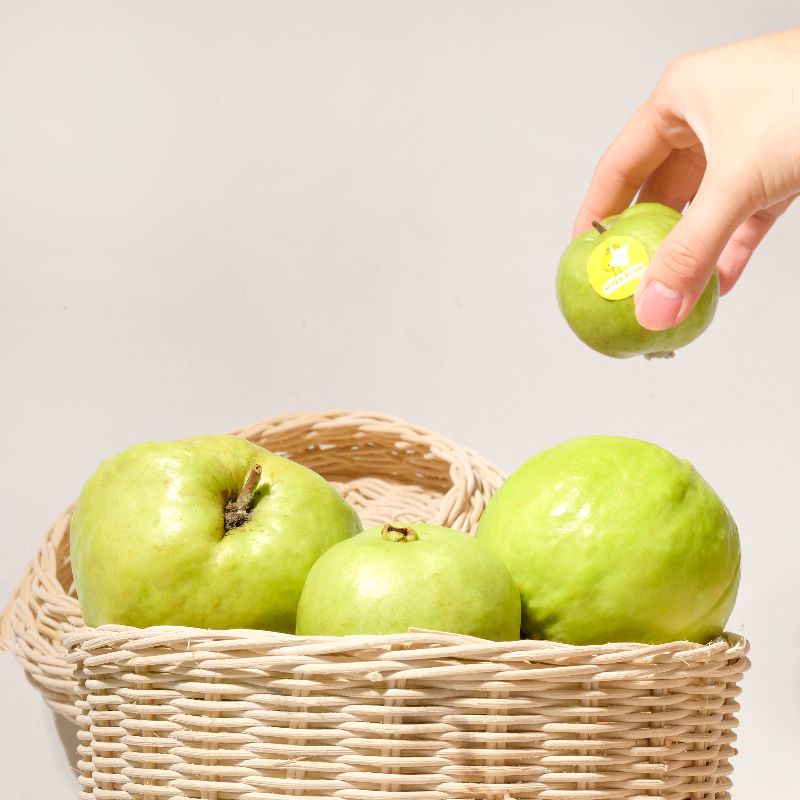 

Buah JAMBU KRISTAL BABY / BABY KRISTAL