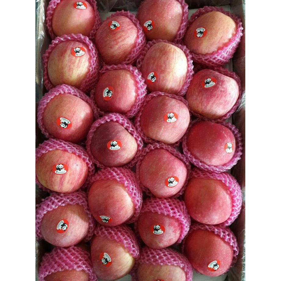 

ENAK Buah Apel Fuji Manis Garing Harga DIJAMIN MURAH DIBAWAH PASARAN BANYAK RASA