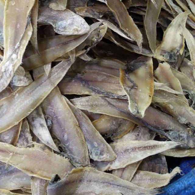 

IKAN ASIN LIDAH