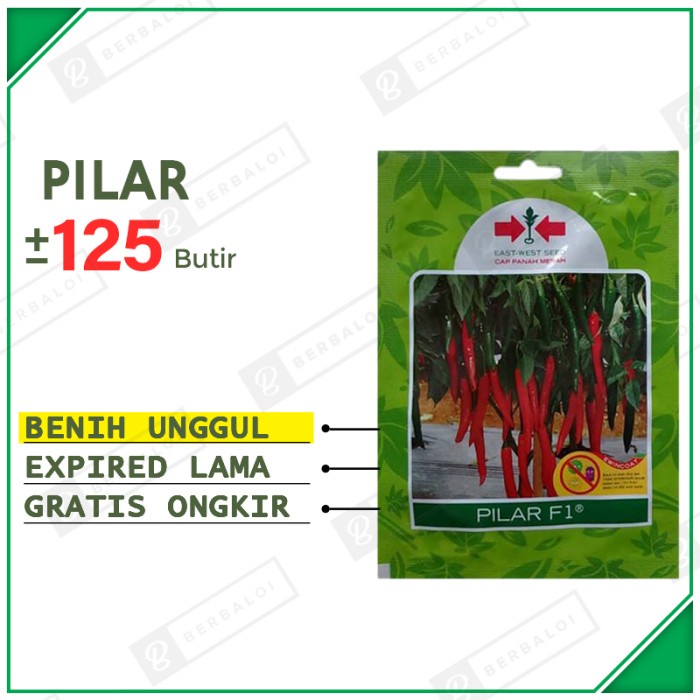 Pilar F1 Benih Cabai Cabe Merah Besar Bibit Cabe Merah Hibrida SP