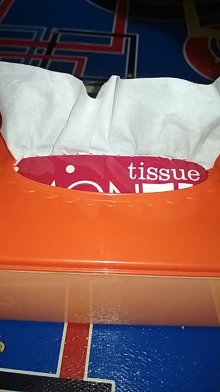 Montiss Tissue 250 Sheet 2 Play