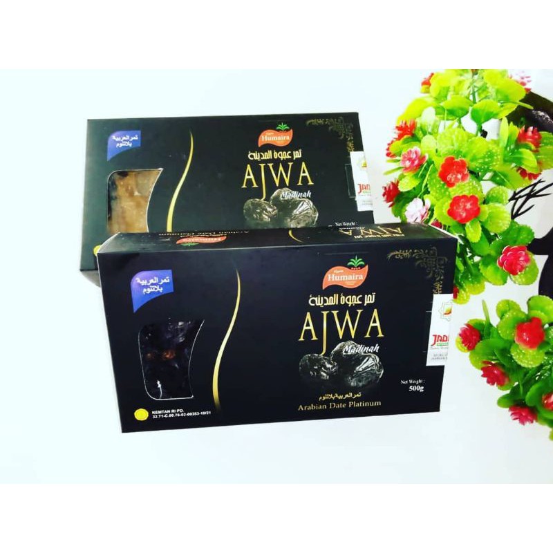 

kurma ajwa kurma premium kurma nabi