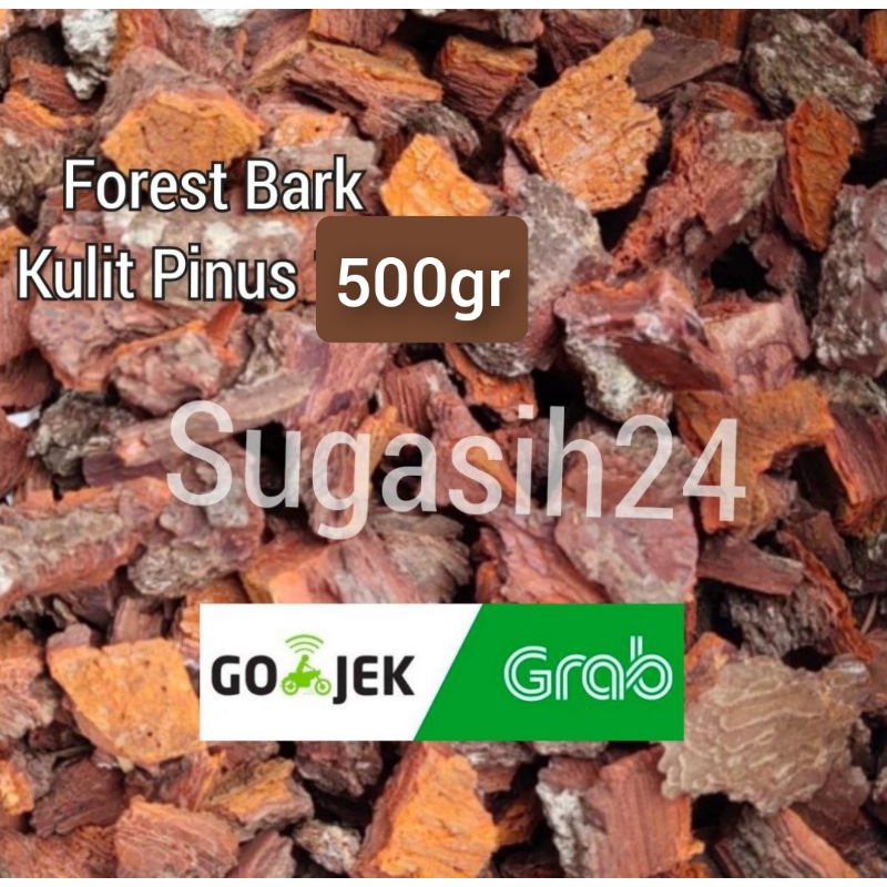 

Forest BARK Kulit pinus 500grm