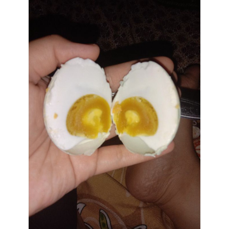 

TELUR ASIN MASIR uenak puolll