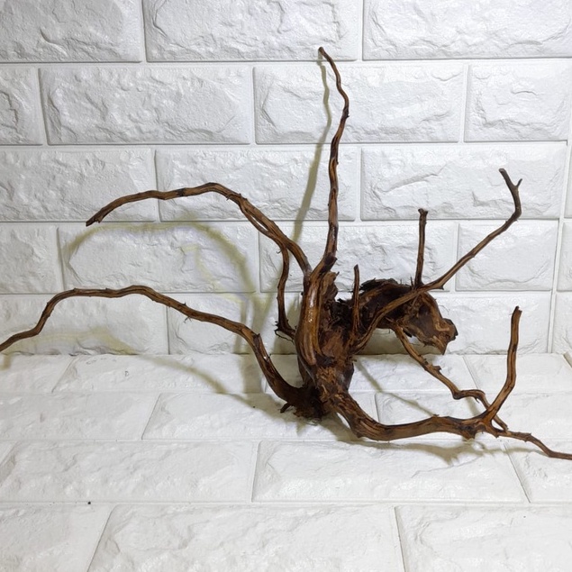 AKAR RASAMALA KAYU RASAMALA AQUASCAPE SIZE S 20CM KAYU AKAR RASAMALA DEKORASI AQUASCAPE