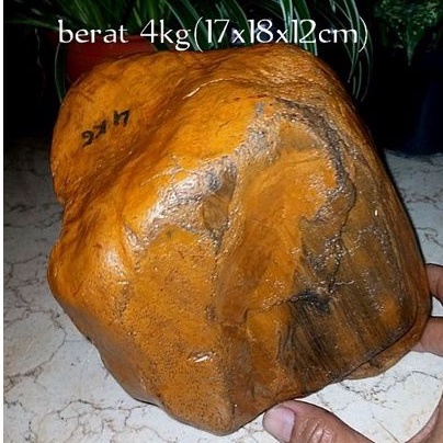 batu akik bahan fosil kayu galih kelor(068)