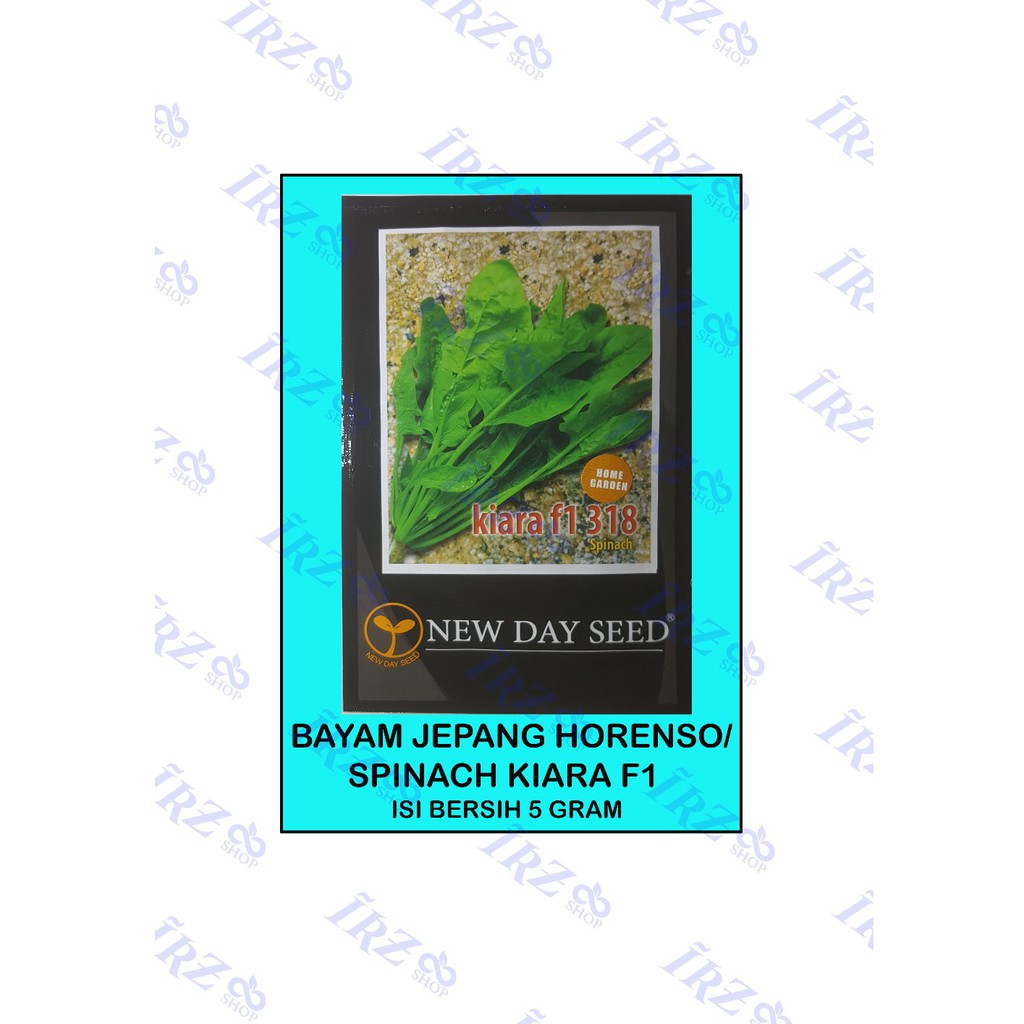 Benih Bayam Jepang - Spinach Kiara F1 Berkualitas