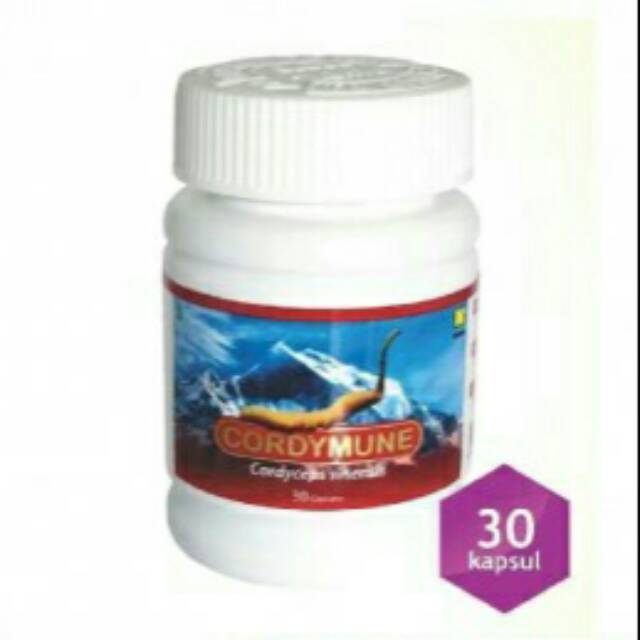 Obat Herbal Gagal Ginjal / Nutrisi Gagal Ginjal / Cordymune Nasa Original