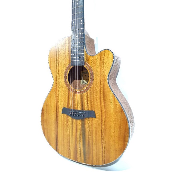 Gitar Akustik Camwood Original Tipe IWC-235 NSK Senar String Trusrkd Jakarta Murah