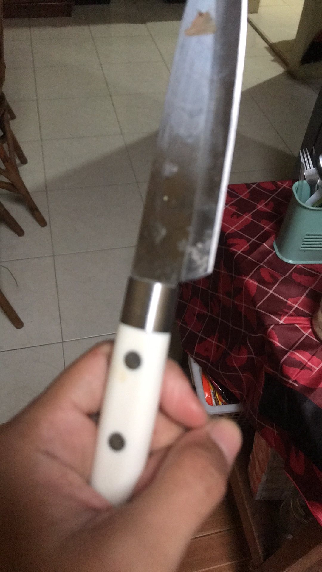 Pisau Dapur Sushi Sashimi Jepang Koki Chef Pisau Daging Tajam Putih Murah