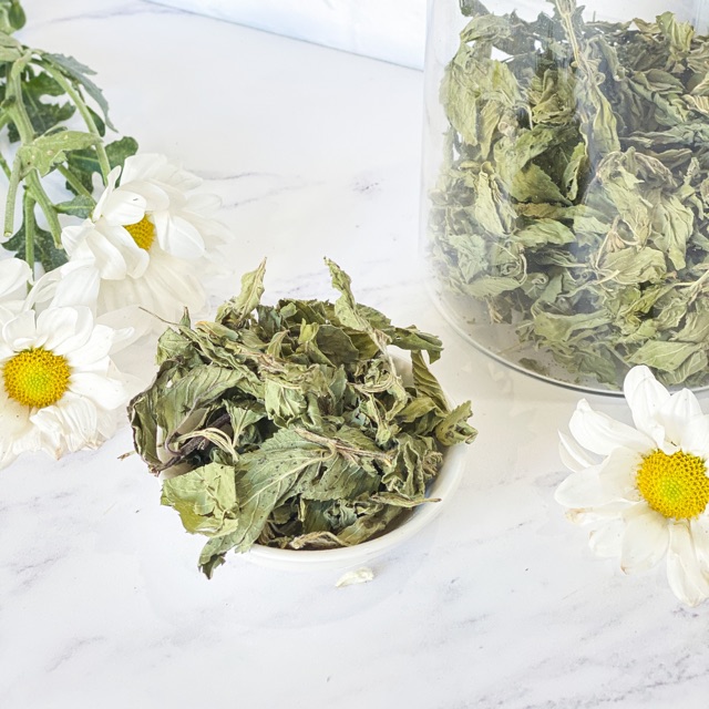 

Teh Daun Mint | Peppermint Tea 10gr Loose Leaf Tea | Flowering Tea 10gr