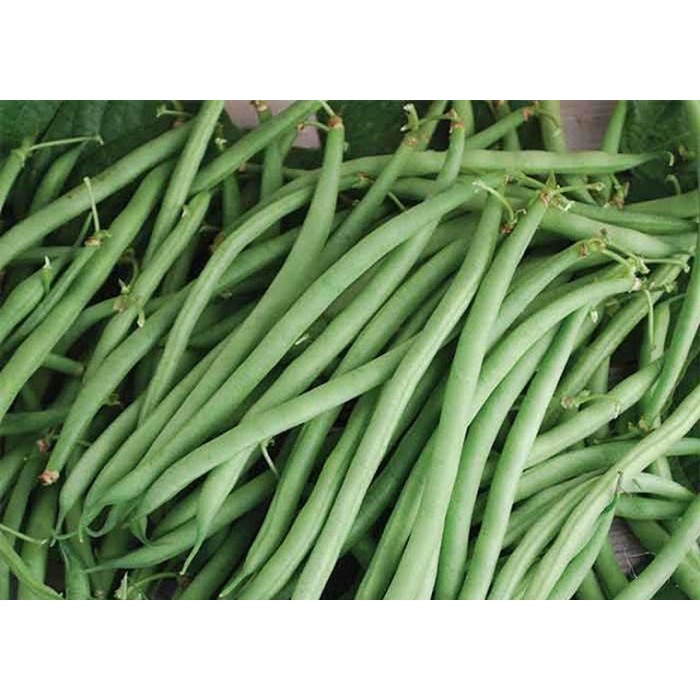 Buncis Segar 250gr - 1kg | Buncis Lokal | Fresh Green Bean 250g - 1Kg