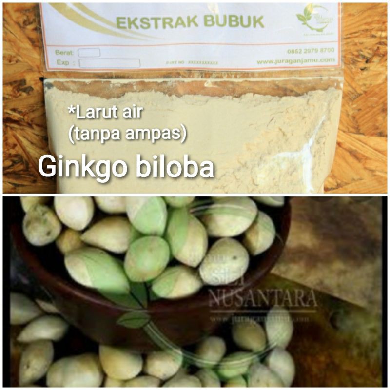 

Ginko Biloba EKSTRAK bubuk serbuk Gingko