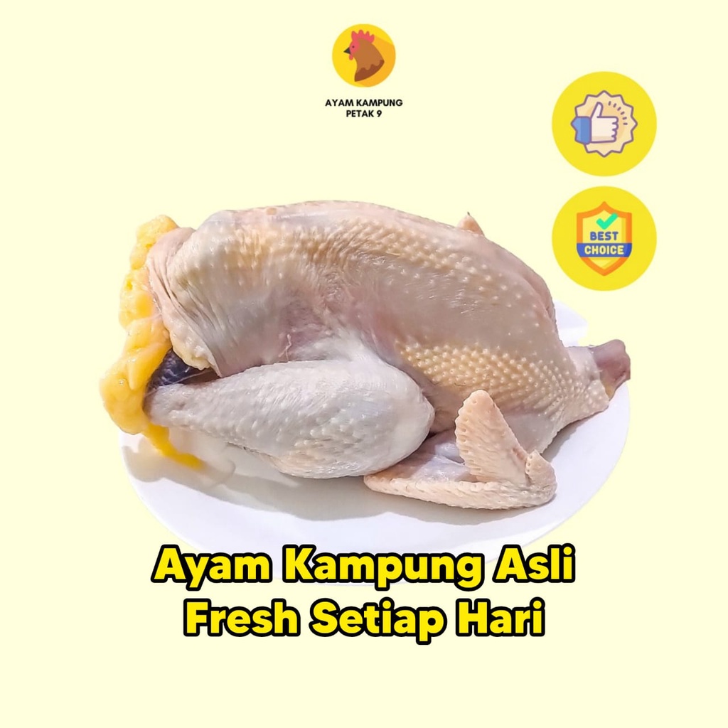 Ayam Kampung Asli Potong Fresh Petak Sembilan