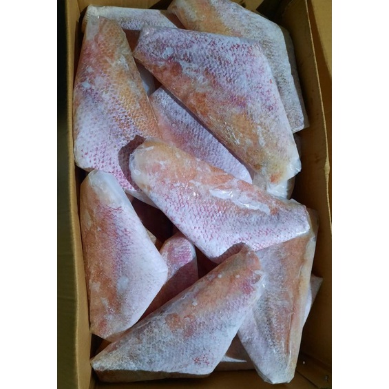 

kakap merah fillet