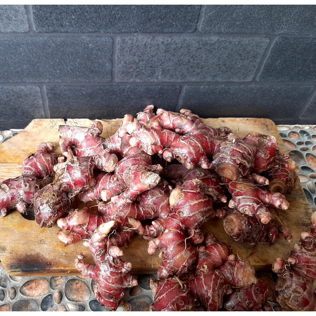 

Jahe Merah fresh 1kg /jahe merah super /jahe merah untuk obat herbal