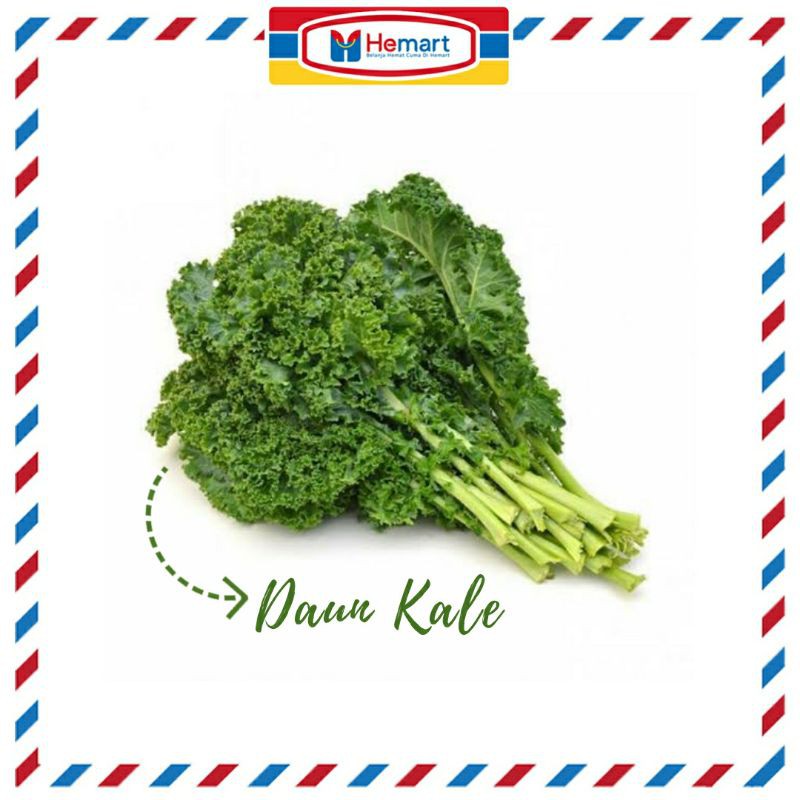 

(ORGANIK) DAUN KALE CURLY (KALE KERITING) / PRODUK LANGKA