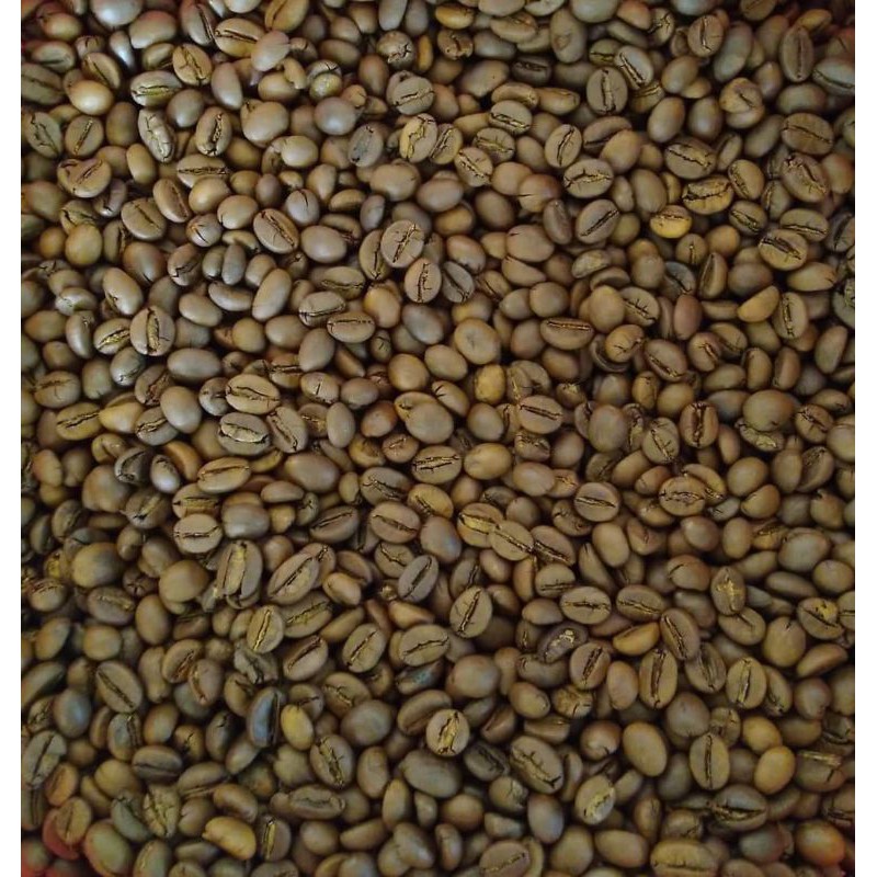 

rabusta bali kintamani rosbean/porder