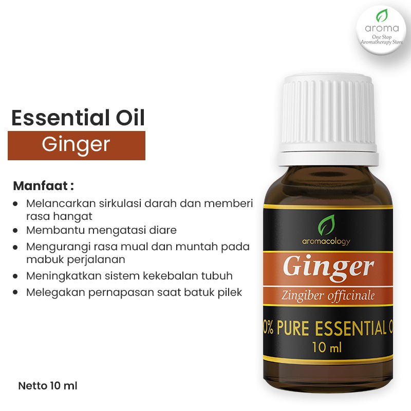 Essential Oil Aromatherapy Aromacology - Ginger 10ml